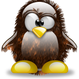penguin pingouin pinguino 398